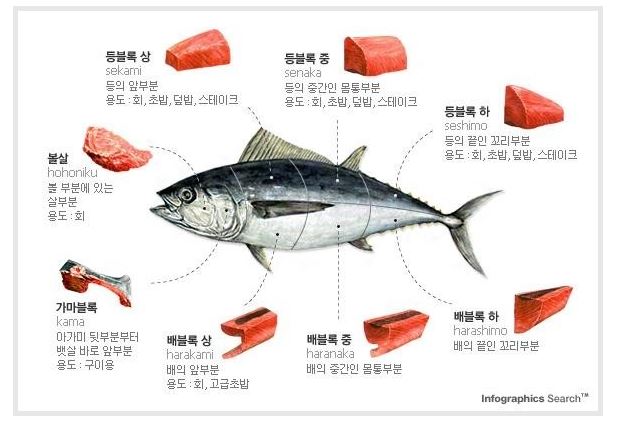 한참치 이미지