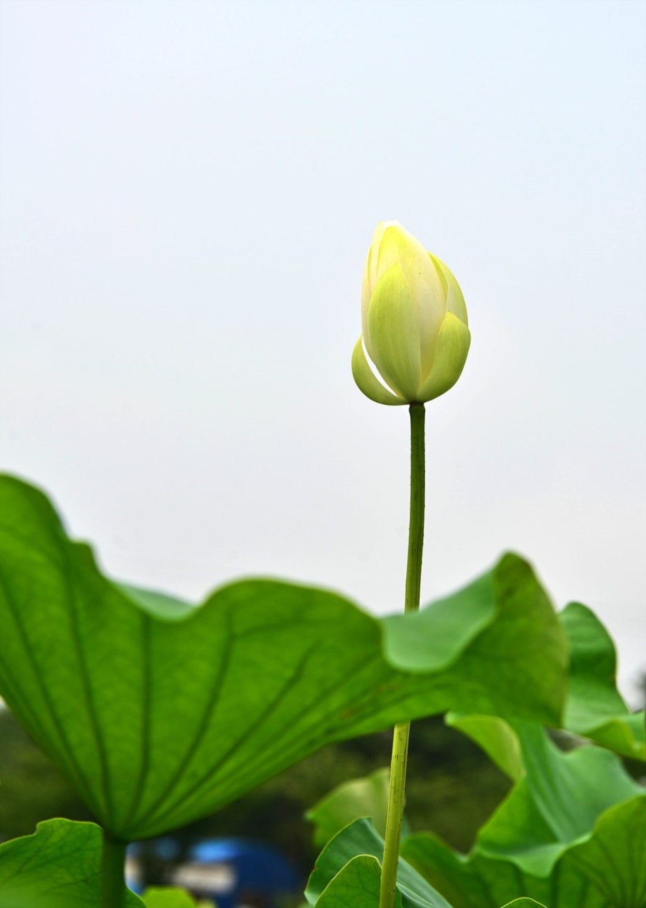 정화수도원 이미지