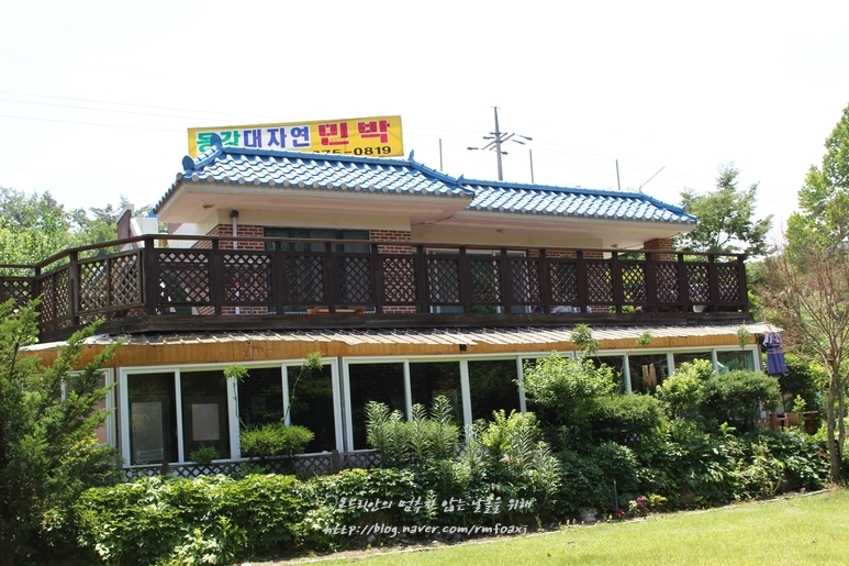 대자연레저본부 이미지