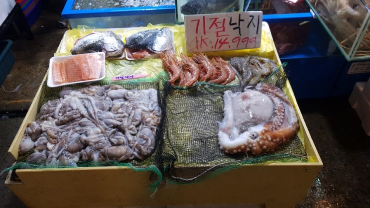 동우수산 이미지