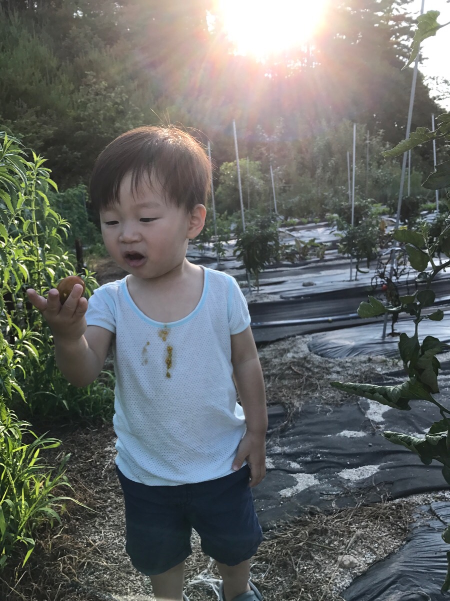 함미하삐 이미지