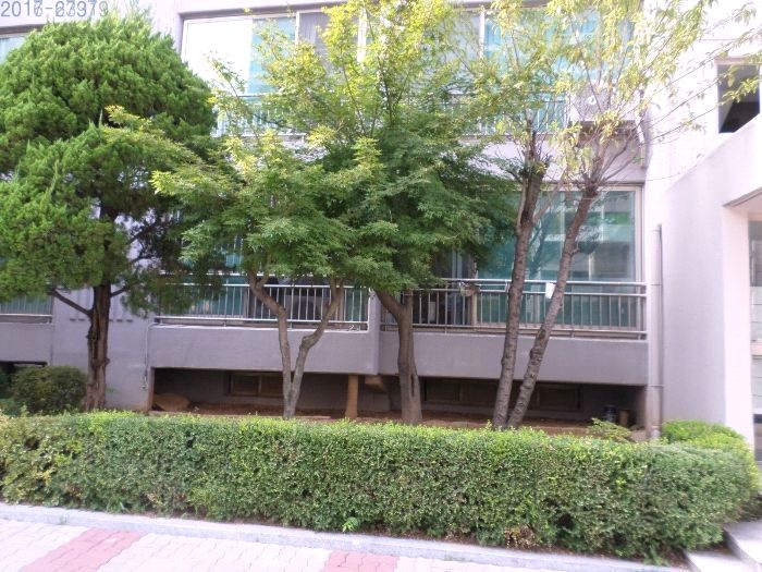 상탄초등학교 이미지