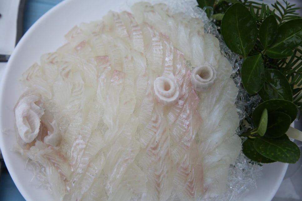 바다회센타 이미지