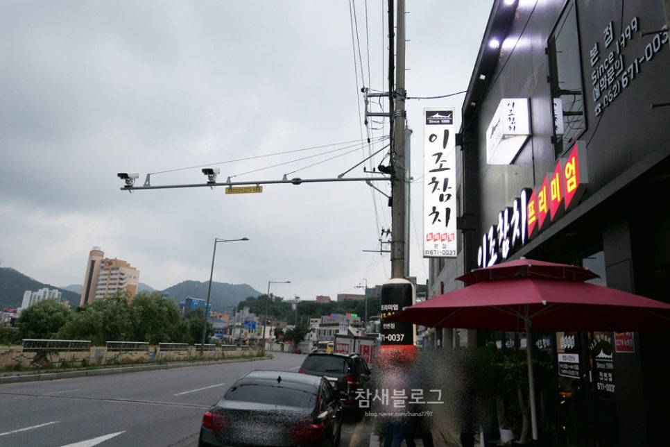 이조참치프리미엄 이미지