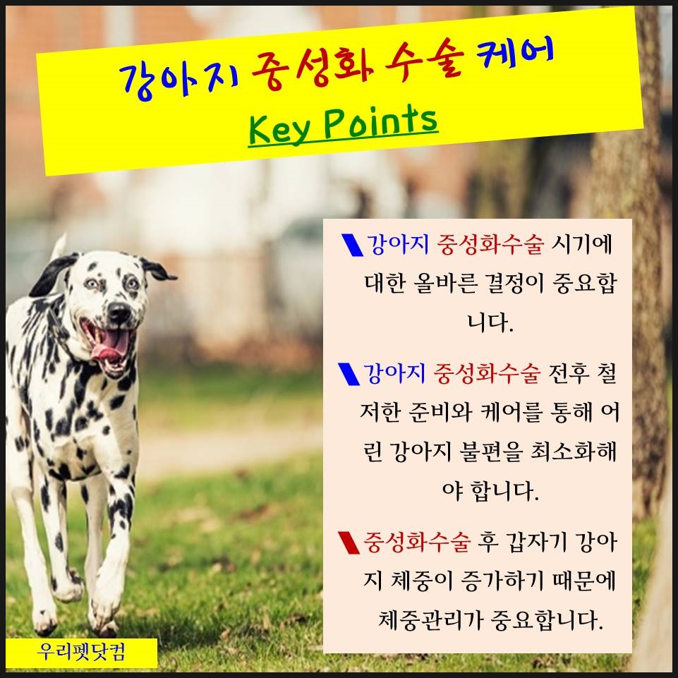 키닥터119 이미지