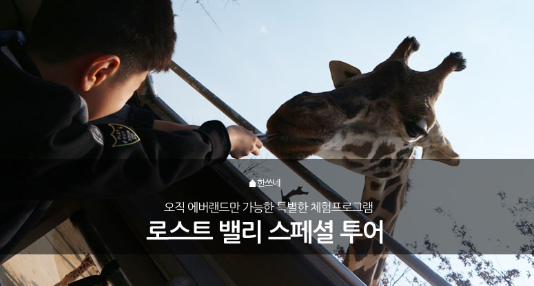 스페셜투어 이미지
