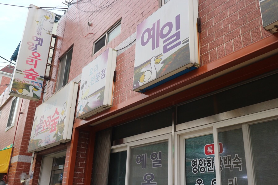예일오리숲 이미지