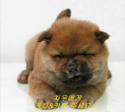 젠틀맨카용인 이미지