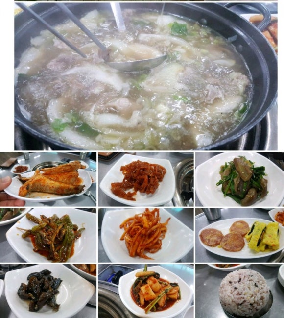 또오고 이미지