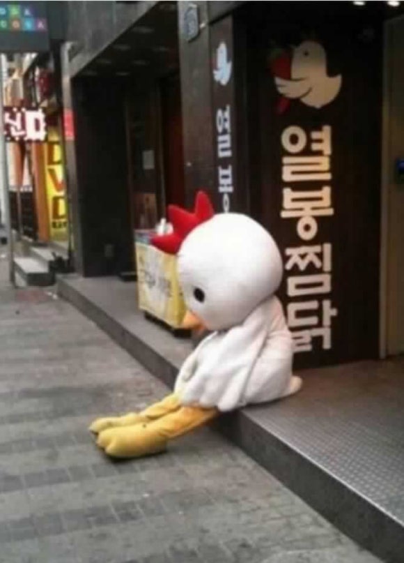 천원나라 이미지