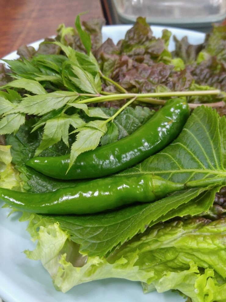 푸른식당 이미지