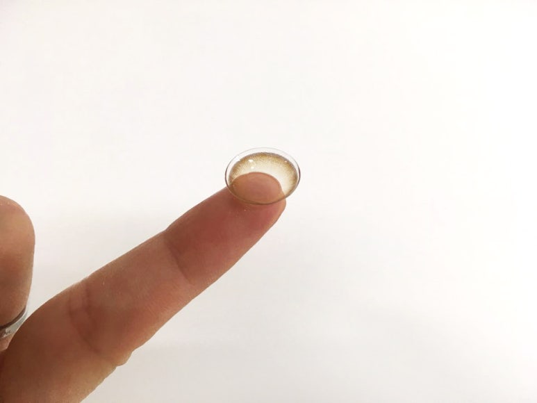 브라운블라썸 이미지