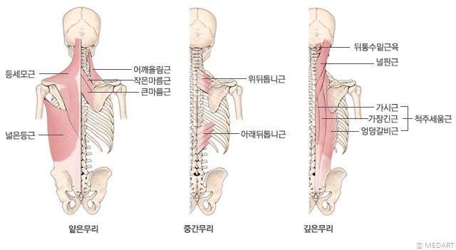 클린짐휘트니스 이미지