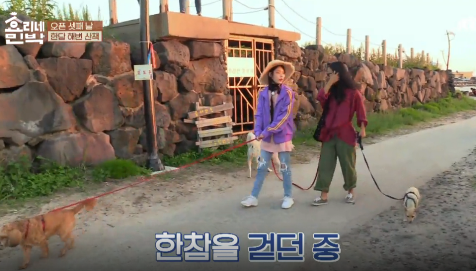 해변산책민박 이미지