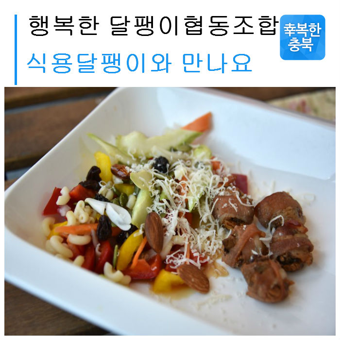 영동감 협동조합 이미지