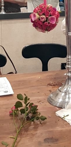 디블름 이미지