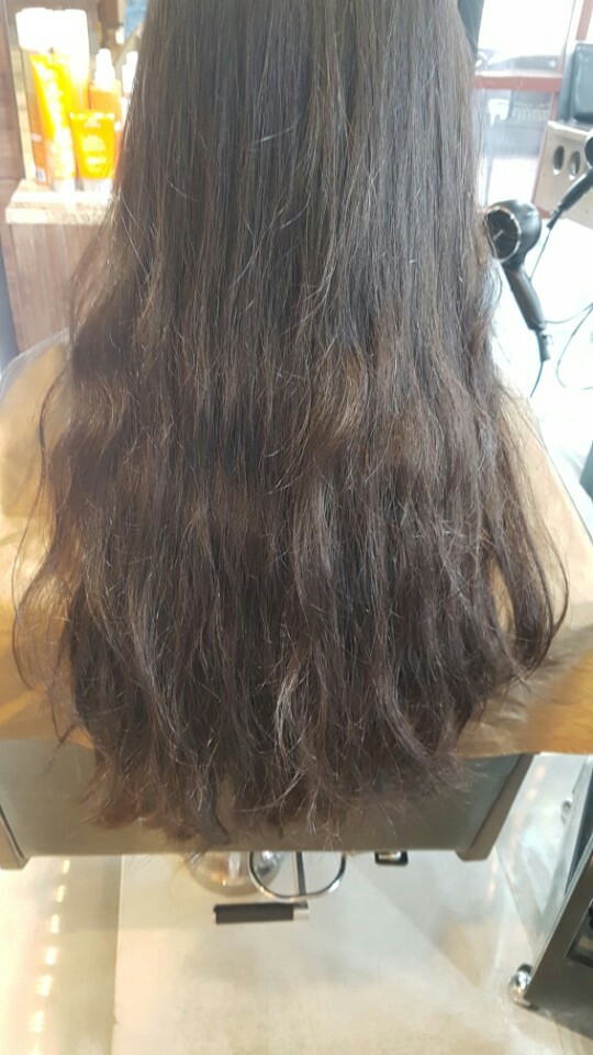 헤어망고 이미지