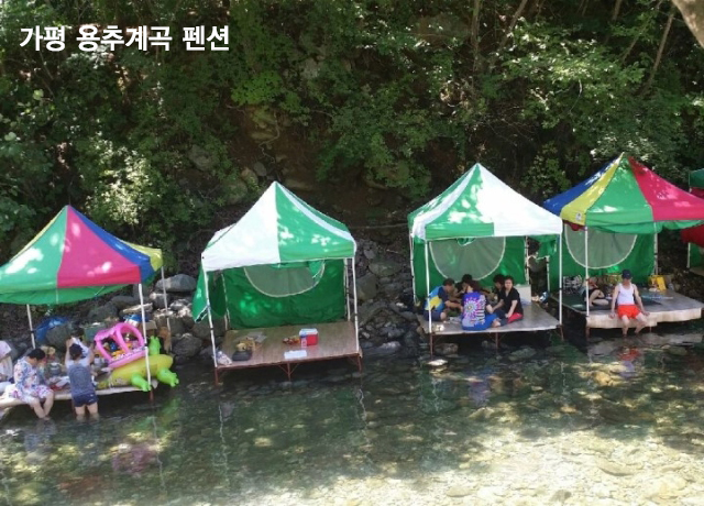 자연속에둥지펜션 이미지