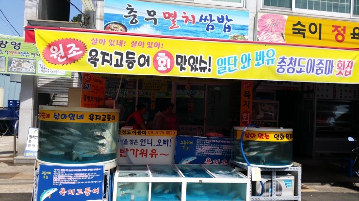 중앙멸치 이미지