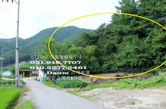 국도개발 이미지