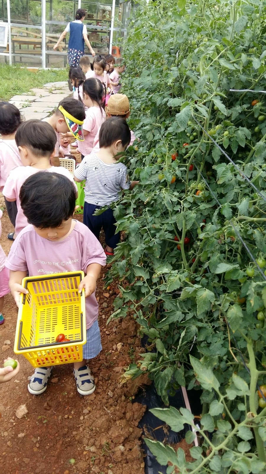 제이농원 이미지