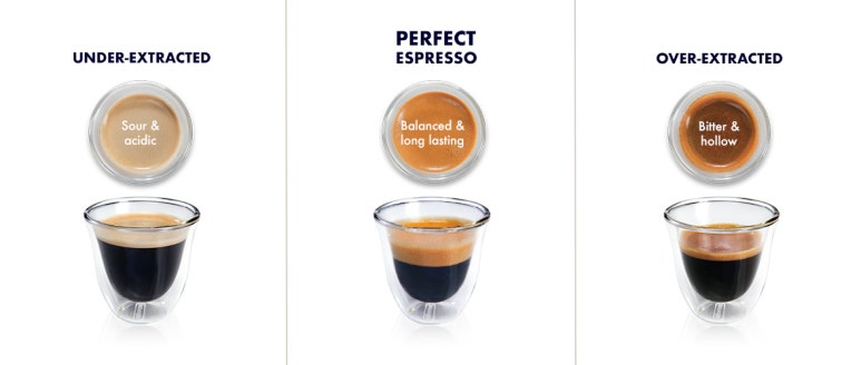 CREMA 이미지