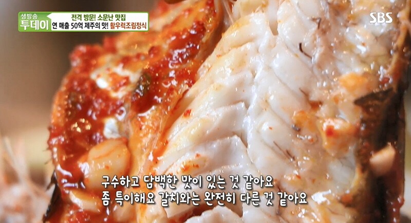 투데이제주 이미지
