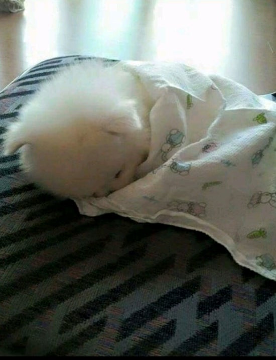 잘래 이미지