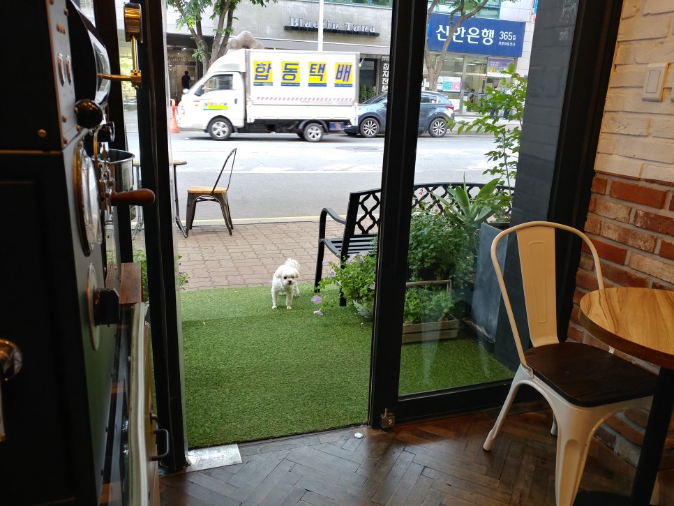 카페드리치 이미지