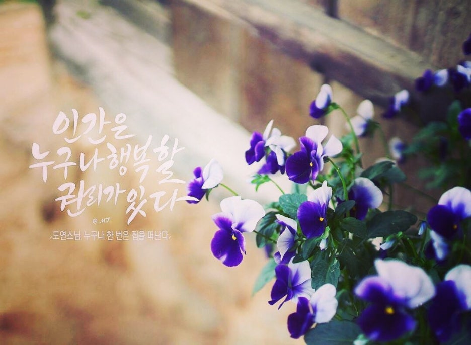 법무법인한울 이미지