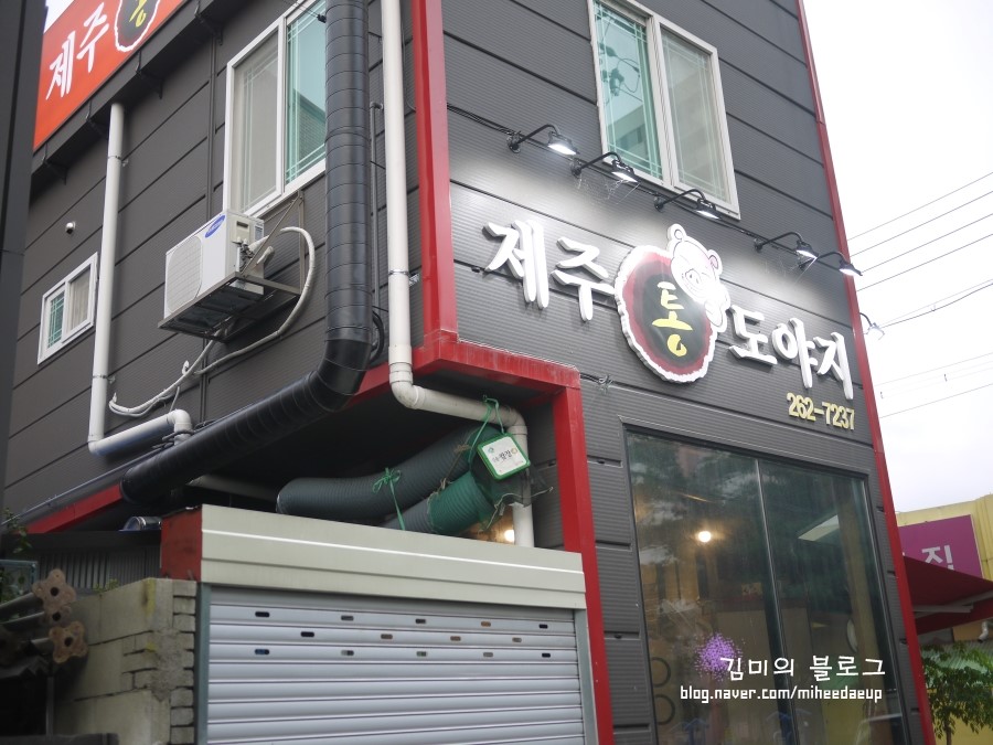 제주통도야지 이미지