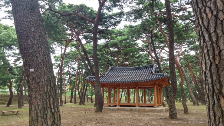 송림대중 이미지