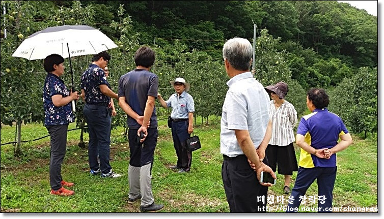 금도식품 이미지