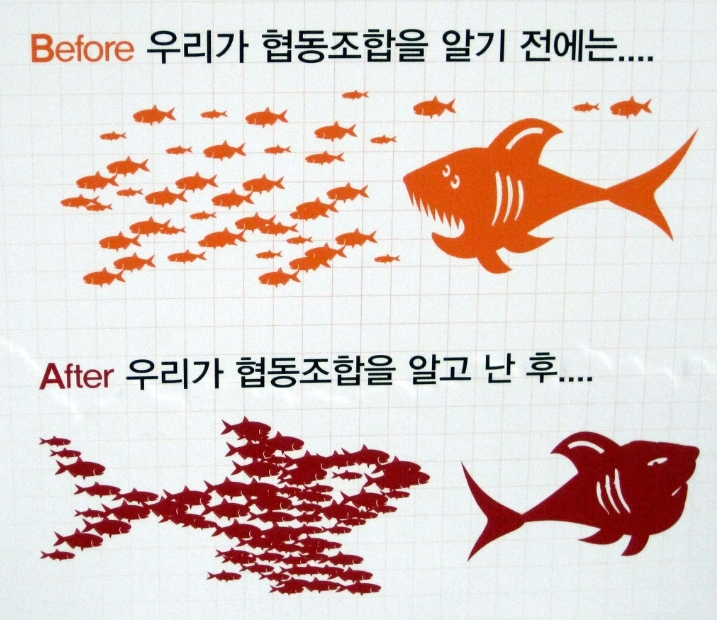 만물유통상회 이미지