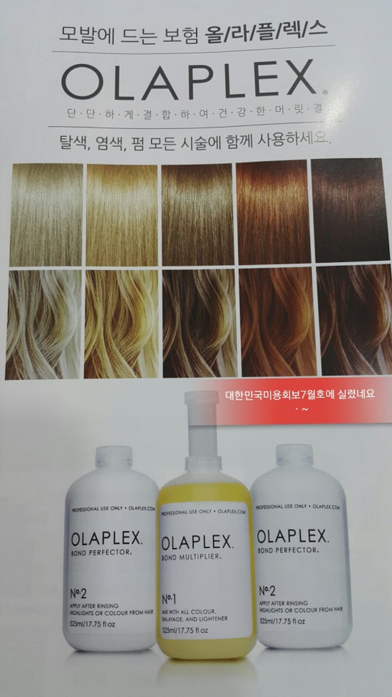 화이트헤어칼라 이미지
