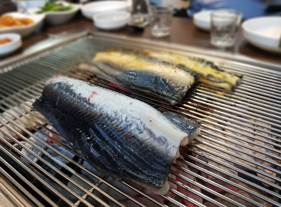 민물장어나라 이미지