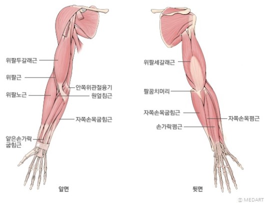 클린짐휘트니스 이미지
