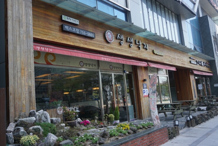 생생낙지 이미지