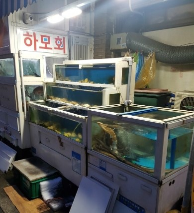 옹녀조개강쇠장어 이미지