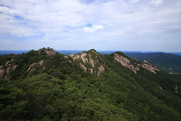 속리산청정한우 이미지