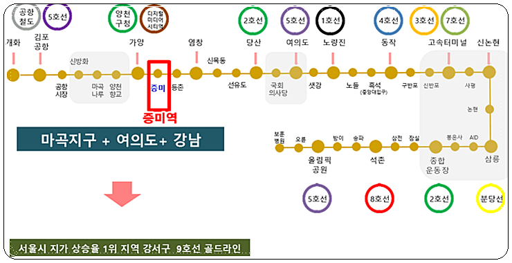 맥시하우스 이미지