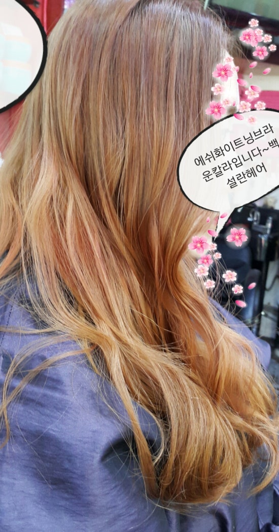 화이트헤어칼라 이미지