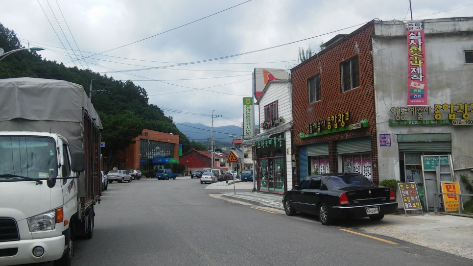 지리산산삼산야초 이미지