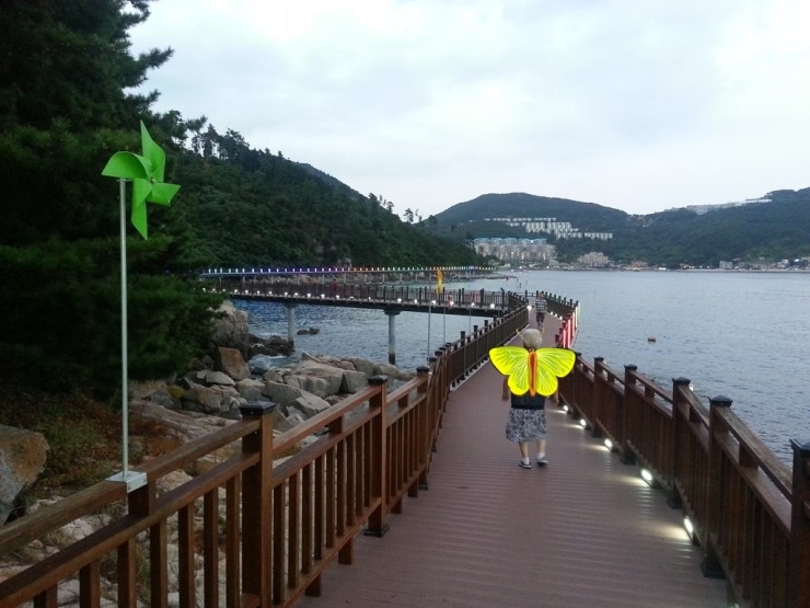대동카클리닉 이미지