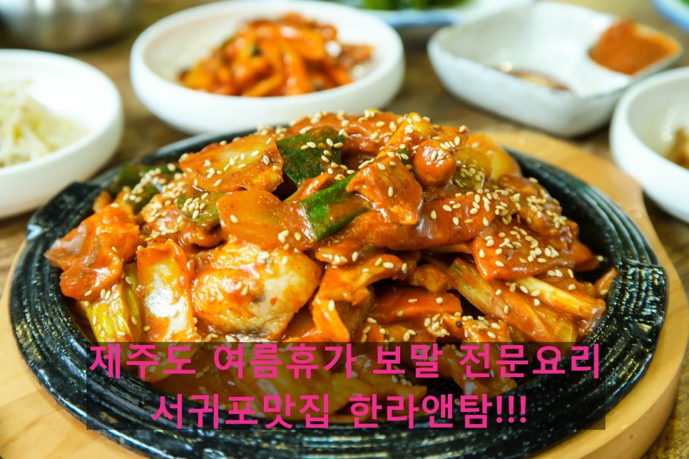 한라앤탐 이미지