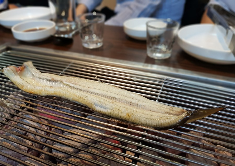 민물장어나라 이미지