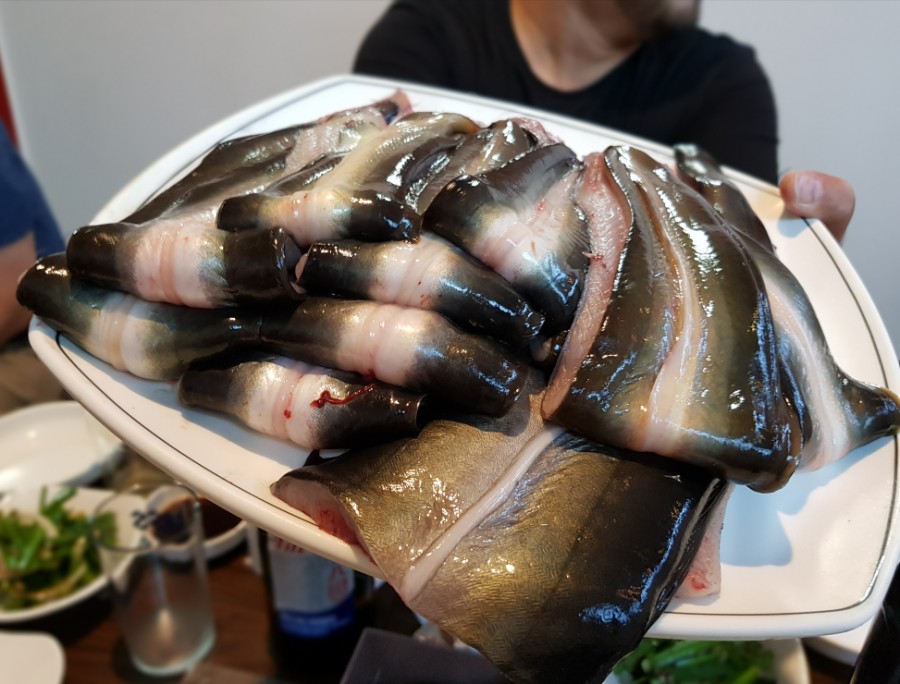 임진강민물장어 이미지