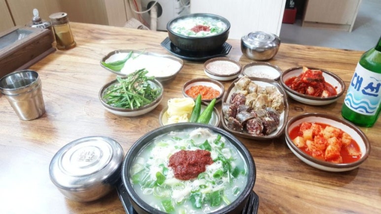 돼지의재발견 이미지