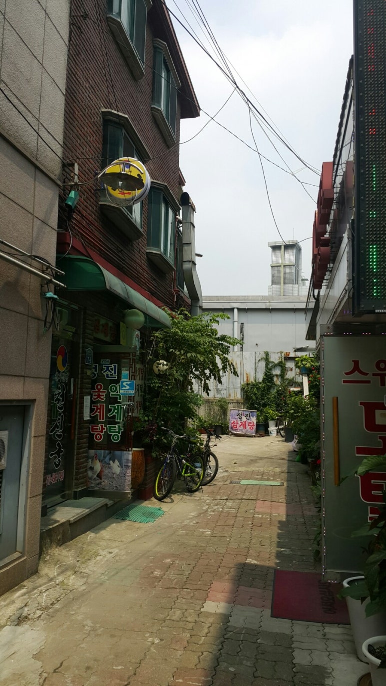 성진삼계탕 이미지