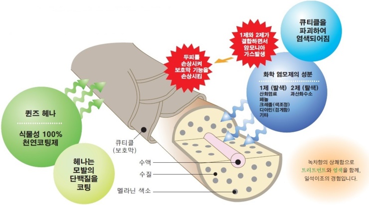 천연염색퀸즈헤나 이미지